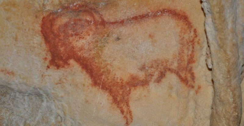 Sarlat : Private tour to Prehistoric Cave + Medieval Castle - Who Should Consider This Tour?