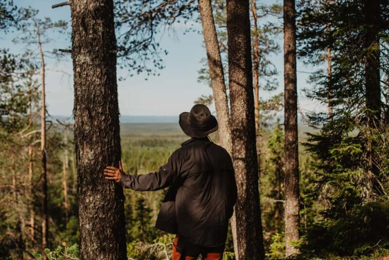 Särna: Brudslöjan Waterfalls Guided Hike with Lunch - The Return Hike and Scenic Views