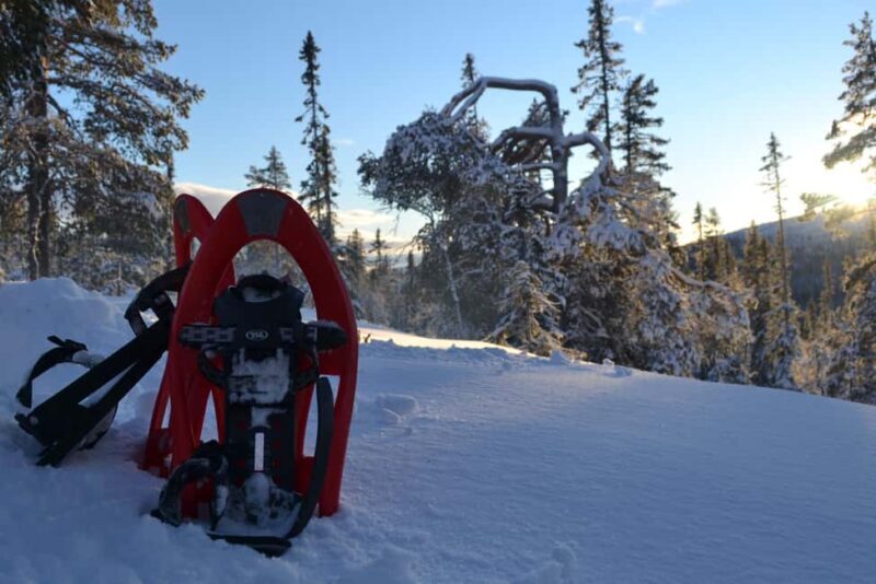 Särna: Fulufjället National Park Guided Hike with Lunch - Key Points