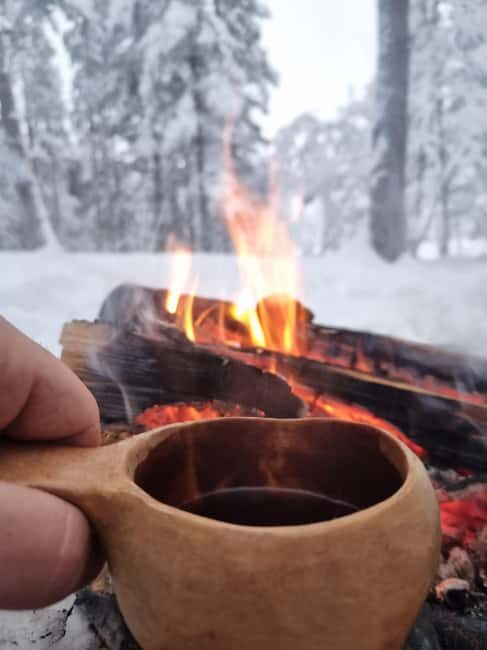 Särna: Fulufjället National Park Guided Hike with Lunch - What to Expect on This Adventure