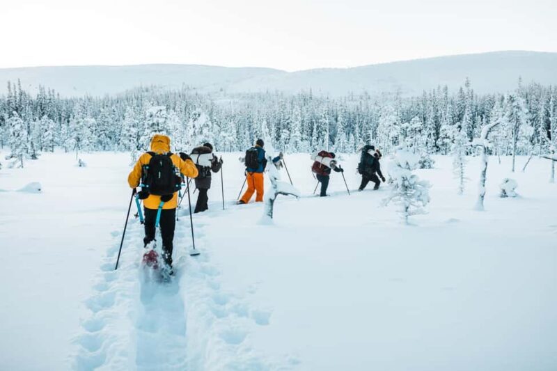 Särna: Fulufjället National Park Guided Hike with Lunch - The Practical Details