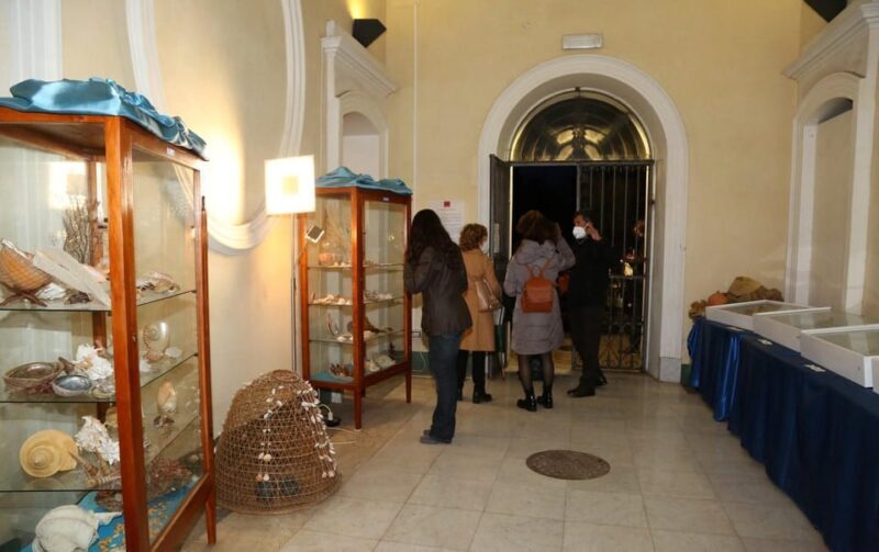 Sassari: visit the Sea and Water Ecomuseum - Key Points