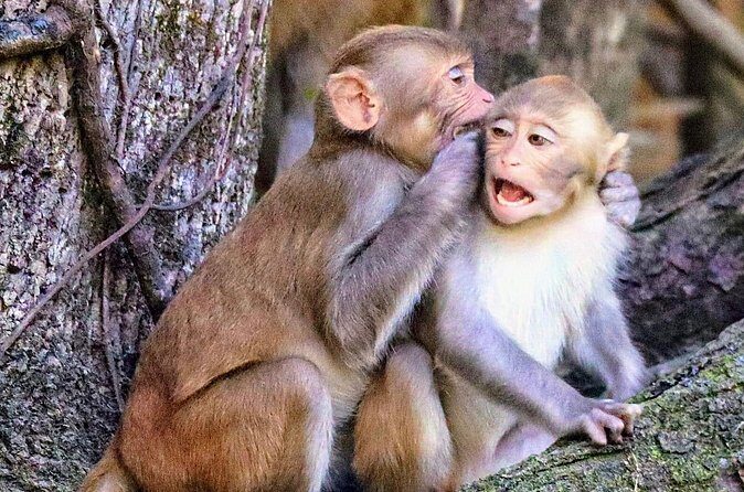 Sassy Silver Springs Kayak and Paddle Rental - Final Thoughts