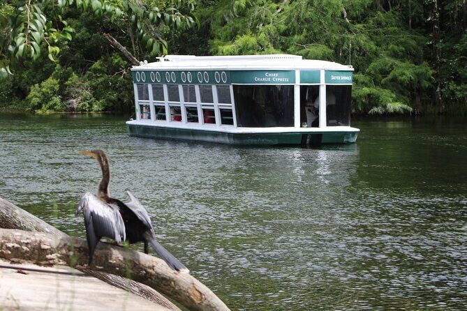 Sassys Silver Springs Kayak and Paddleboard Tours - Exploring Sassys Silver Springs Kayak and Paddleboard Tours: An Honest Look