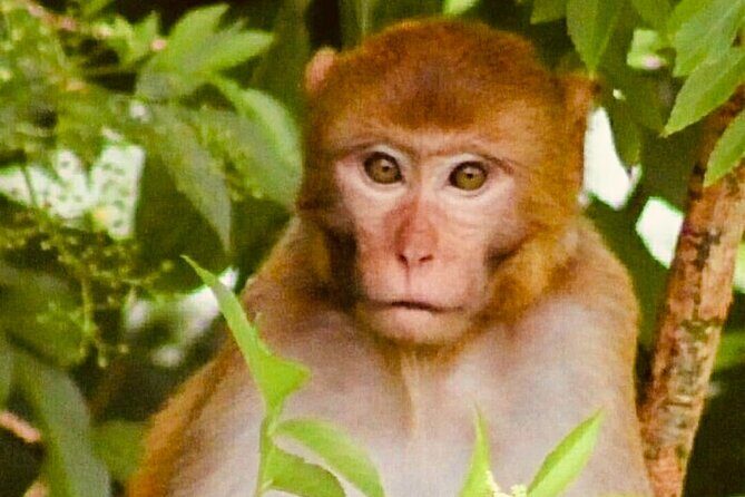 Sassys Silver Springs Kayak and Paddleboard Tours - Key Points