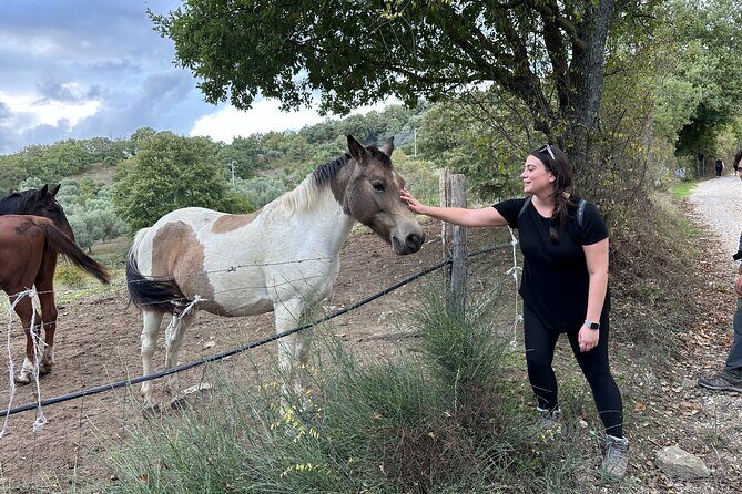 Saturnia's thermal waters a hike through history - The Practicalities: What to Know