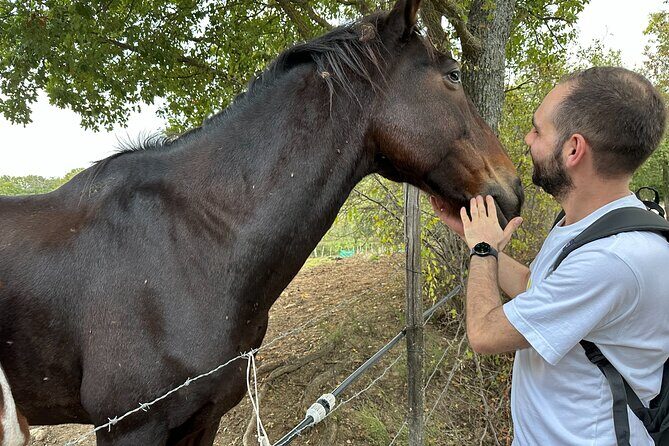 Saturnia's thermal waters a hike through history - Who Would Love This Tour?