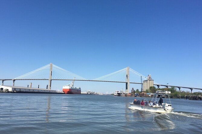 Savannah Coastal Dolphin Eco Tour - Key Points