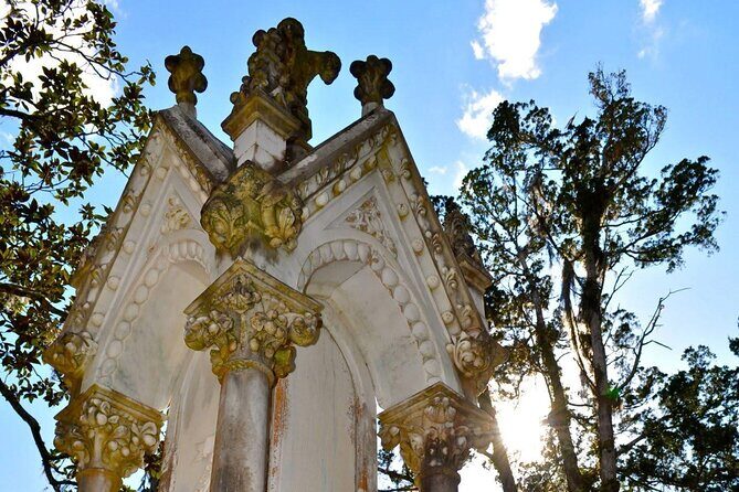 Savannah Haunted and Historical Walking Tour - Who Should Consider This Tour?