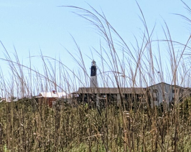 Savannah: Historic District and Islands Private Tour - What the Reviews Say