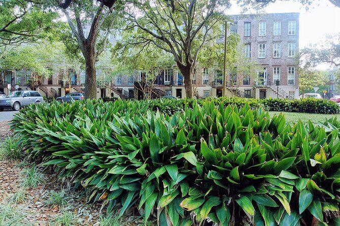 Savannah Irish History Walking Tour - Key Points