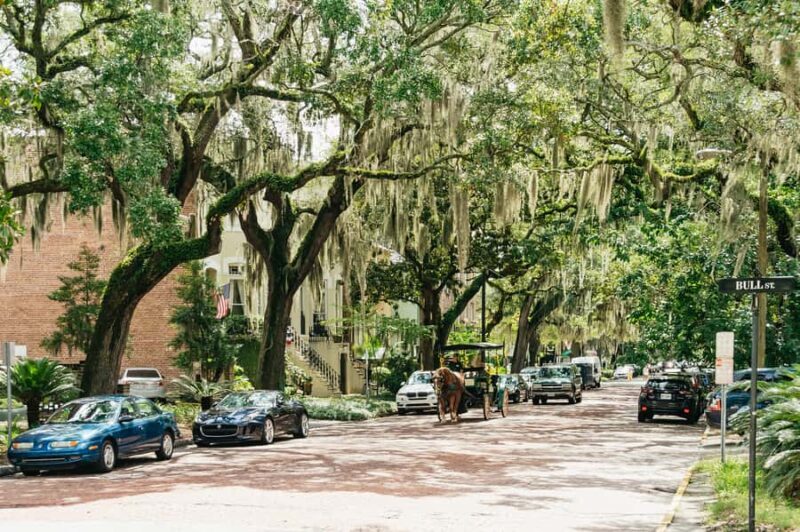 Savannah: Old Savannah Tours Historic Overview - The Transportation: Trolley and Comfort