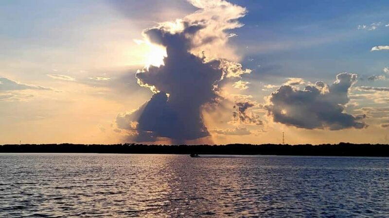 Savannah River Marsh: Your unforgettable Cruise Adventure! - Exploring Savannah River Marsh: What You Can Expect