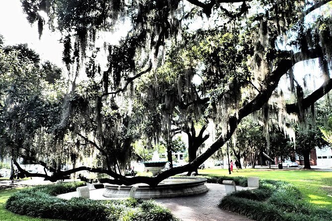 Savannah Scavenger Hunt Adventure - Who Should Consider This Tour?