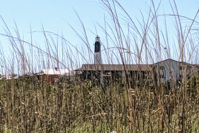 Savannah VIP Tour: Private Full-Day Tour - FAQs