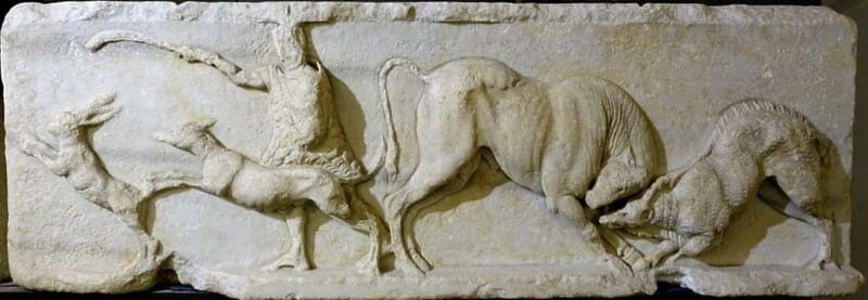 Savona: Guided visit to the Civic Archaeological Museum and the City of Savona - The Experience in Detail