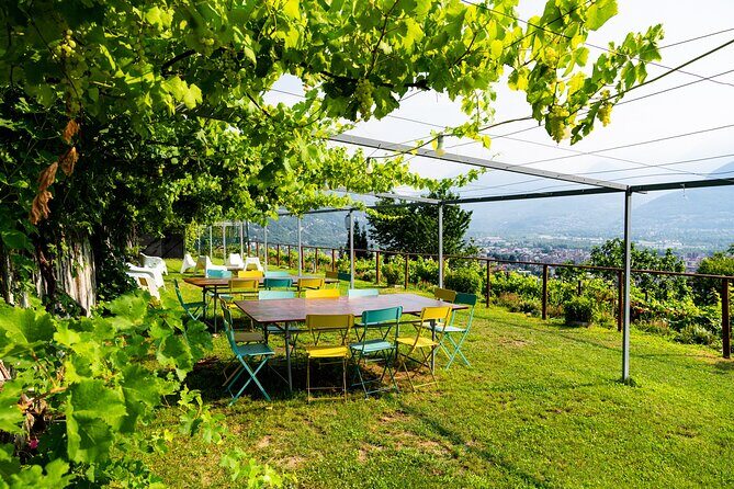 Savor Ossola Wines & Local Treats in a Scenic Vineyard - FAQ