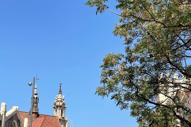 Savor Spain: Your Ultimate Tapas Tour Guide - Final Thoughts