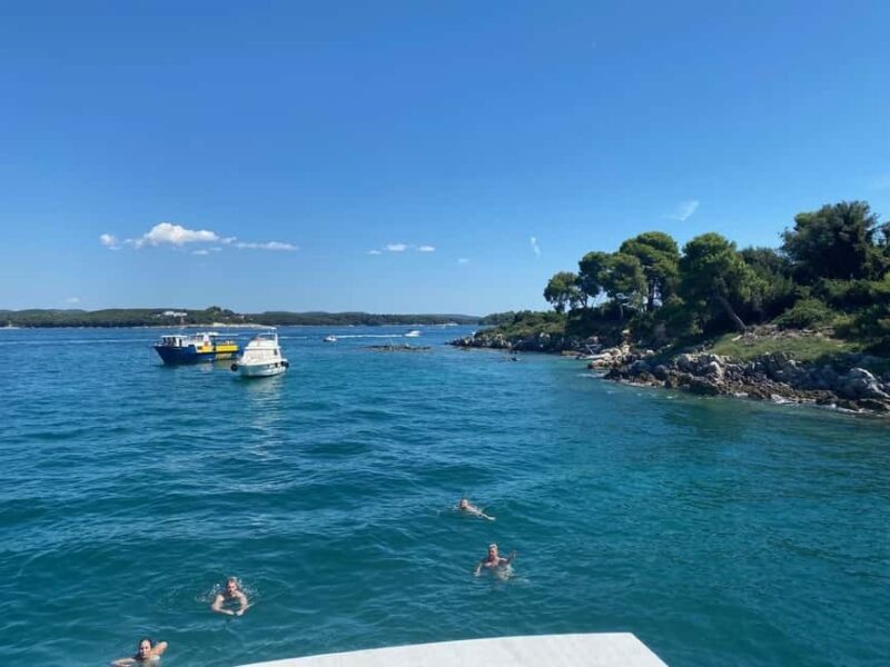 Savudrija: Private Sunset Dolphin-Watching Boat Tour - The Coastline and Dolphin Spotting