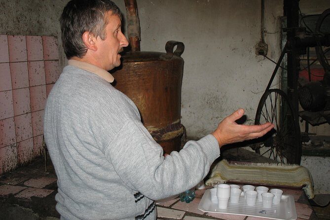 Saxon Heritage in Transylvania: Day Trip from Cluj-Napoca - Who Should Consider This Tour?