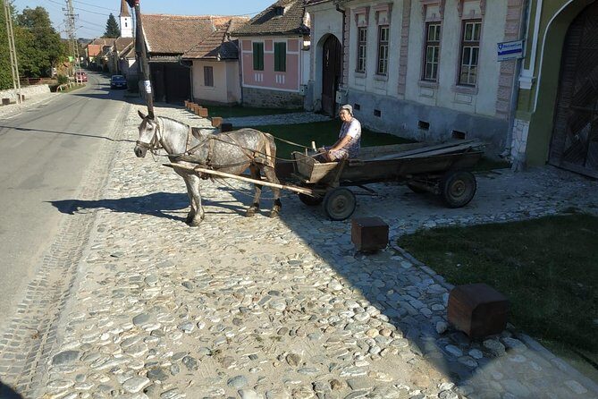 Saxon Heritage in Transylvania: Day Trip from Cluj-Napoca - FAQ