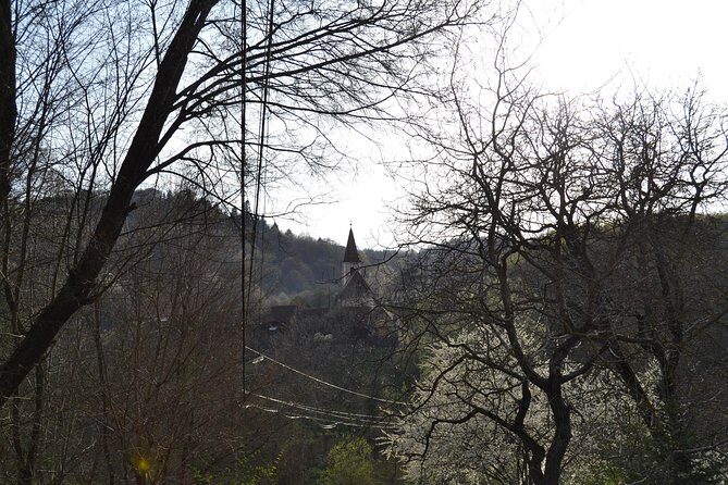 Saxon Heritage in Transylvania: Day Trip from Cluj-Napoca - Final Thoughts