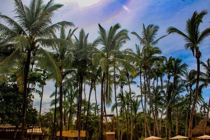 Sayulita and San Pancho Day Trip from Puerto Vallarta - Transportation and Timing