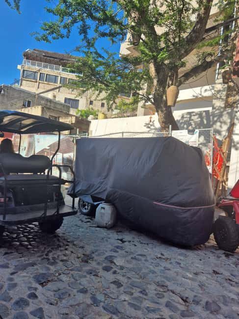 Sayulita: Electric Cart Rental - Key Points