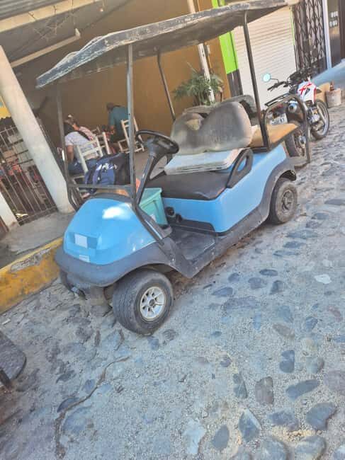Sayulita: Electric Cart Rental - Exploring Sayulita in Style and Comfort