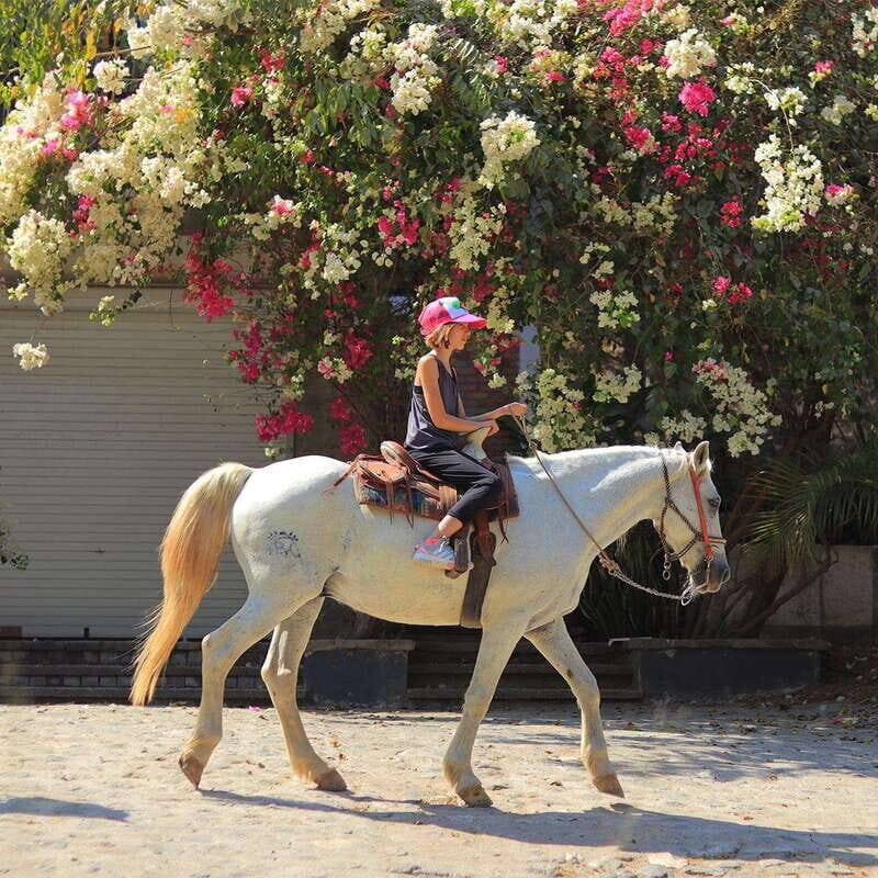 Sayulita: Horseback Riding Tour - What to Expect from the Sayulita Horseback Riding Tour