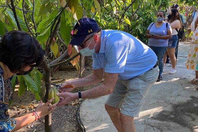 Sayulita Magical Town Tour: Local food, and chocolate. - FAQ