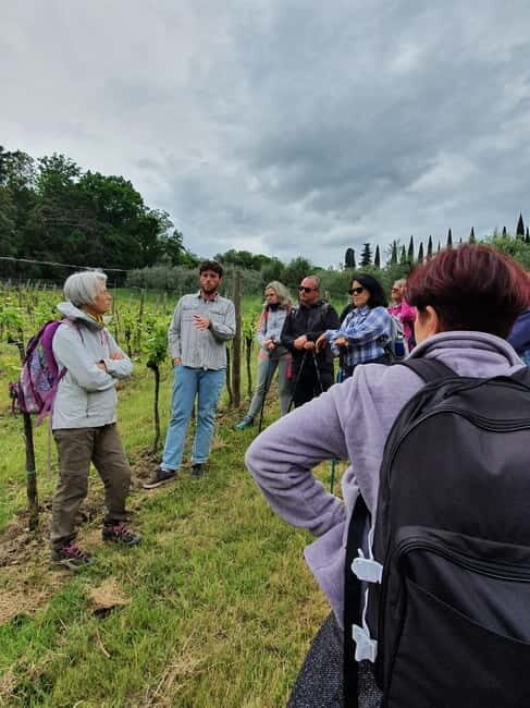 Scandicci: Bellavista Wine Tasting Experience - Tasting the Flavors