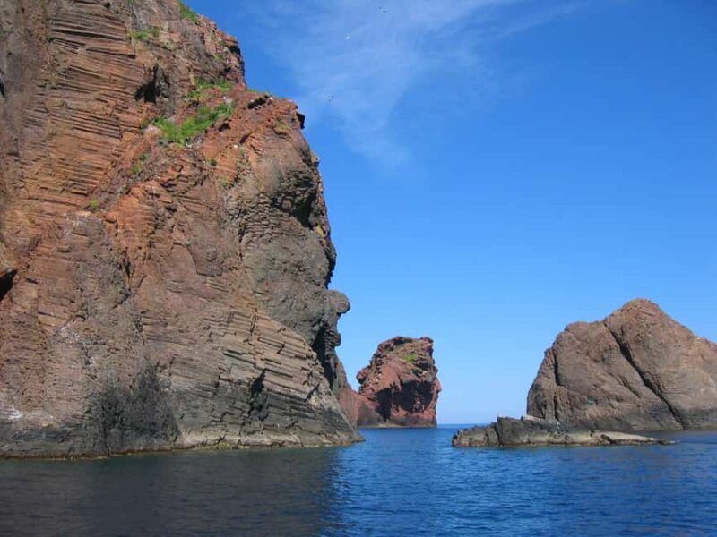 Scandola: check out the nature reserve from Porto (France) - Why This Tour Stands Out
