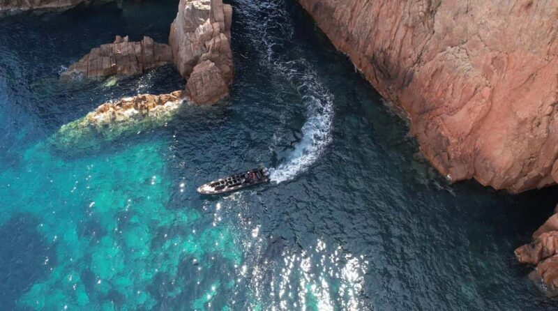 Scandola: check out the nature reserve from Porto (France) - What the Reviews Say