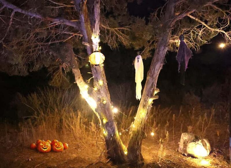 Scary Movie Night in the Desert - Setting the Scene: What’s the Experience Like?