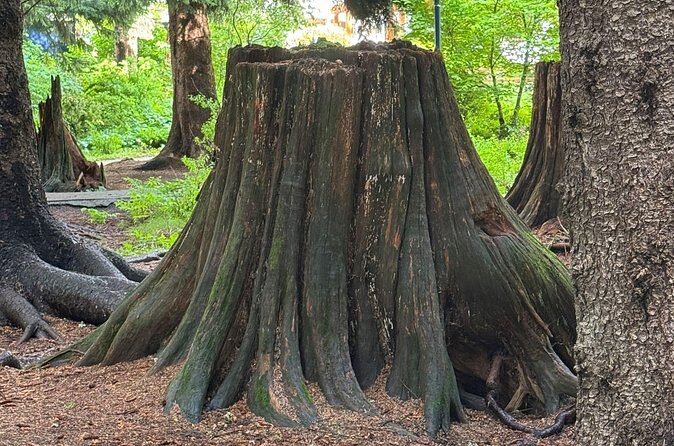 Scavenger Hunt Adventure with Geocaching in Whistler - Frequently Asked Questions