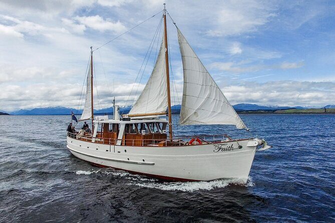 Scenic Cruise & Guided Walk on Historic Motor Yacht Lake Te Anau - Whos This Tour Best For?