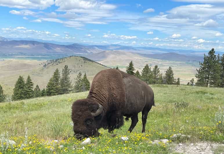 Scenic Driving Tour Flathead Lake and Bison Range - Final Thoughts