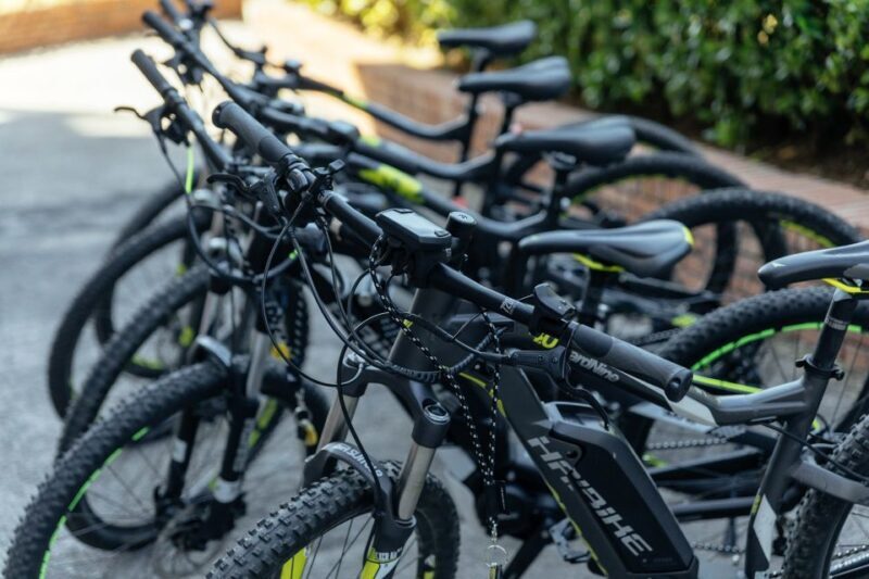 Scenic E-Bike Ride with Vineyard Wine & Meal - Exploring the Campania Region on Two Wheels