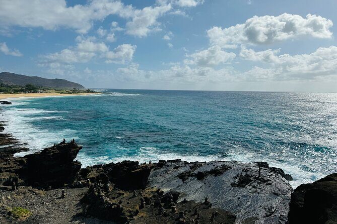 Scenic half day Circle Island tour - What Travelers Say