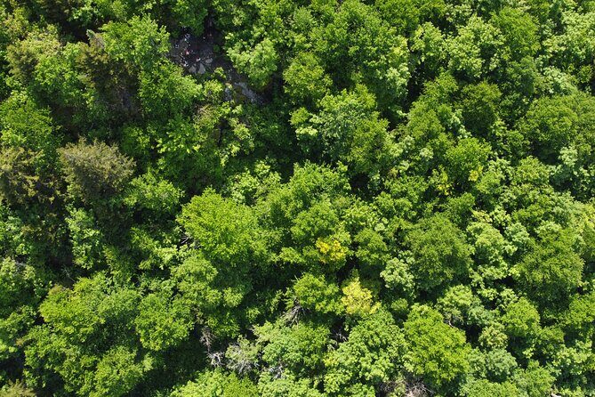 Scenic Hiking Adventure at Mont-Orford National Park - Who Will Love This Hike?