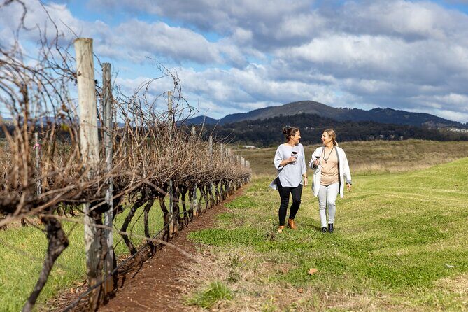 Scenic Hunter Valley Tour with Wine and Cheese Tastings - What’s Included and How It Matters