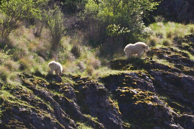 Scenic Jet Boat Tour through Hells Canyon - FAQs about the Hells Canyon Jet Boat Tour