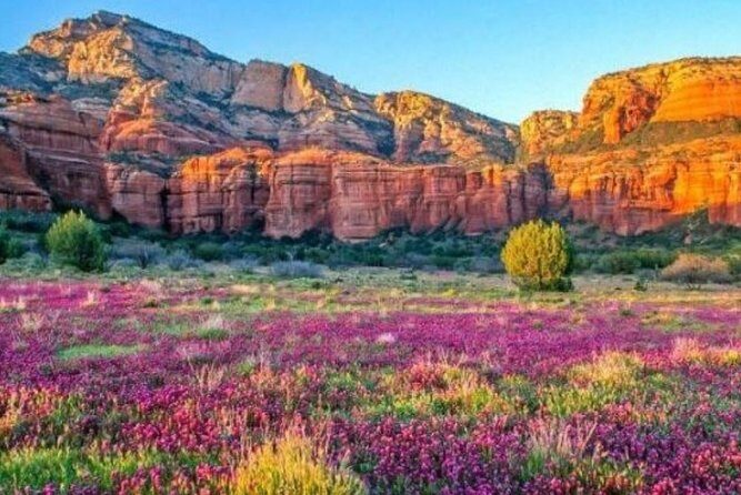 Scenic Sedona Tour - Who Should Consider This Tour?