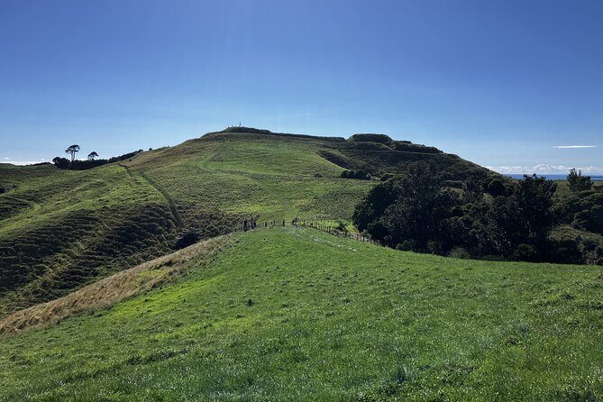 Scenic Short Hike Tour - Papamoa Hills and McLaren Falls - Who is This Tour Best For?