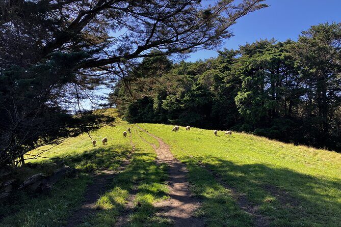 Scenic Short Hike Tour - Papamoa Hills and McLaren Falls - FAQ