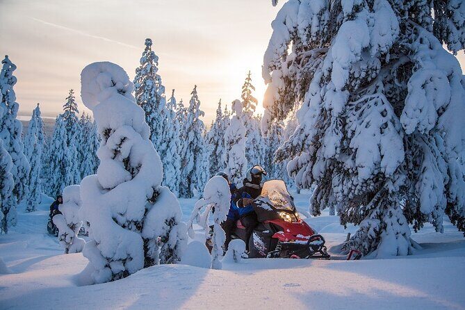 Scenic Snowmobile Safari in Saariselkä - The Experience On and Off the Snowmobile