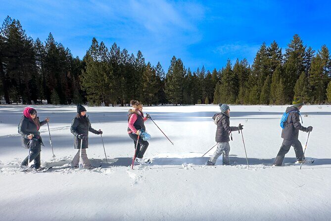 Scenic Snowshoe Adventure in South Lake Tahoe, CA - The Sum Up