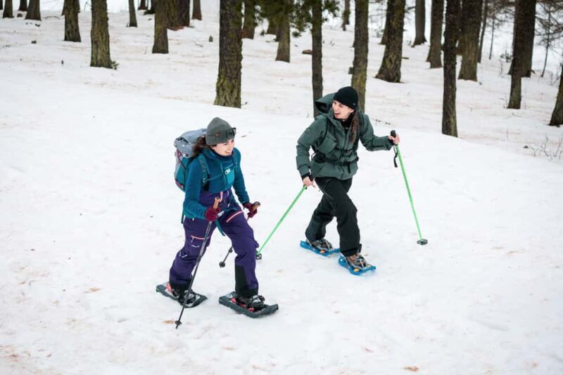 Scenic snowshoe hike in Sestriere - Scenic snowshoe hike in Sestriere