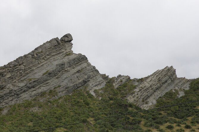 Scenic South Wairarapa Full Day Tour from Wellington - A Deep Dive into the Experience